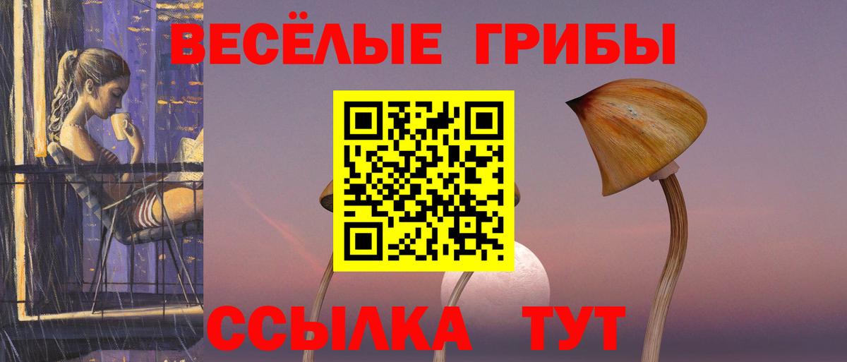 Псилоцибиновые грибы Cubensis  Вход с VPN  Удомля 